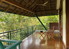 Forest Canopy Thekkady