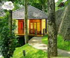 Forest Canopy Thekkady