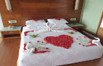 Amber Dale Luxury Hotel &spa