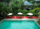 The Hive Wayanad