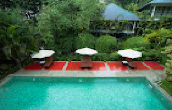The Hive Wayanad