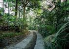 The Hive Wayanad