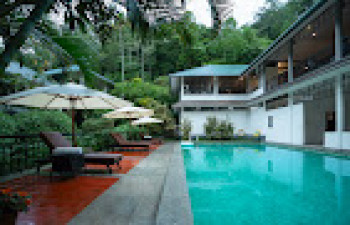 The Hive Wayanad
