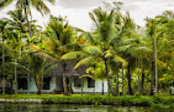 Palmgrove Lake Resort