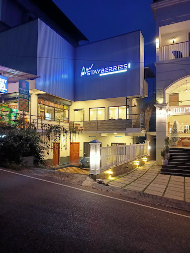 Stayberries Silver Munnar