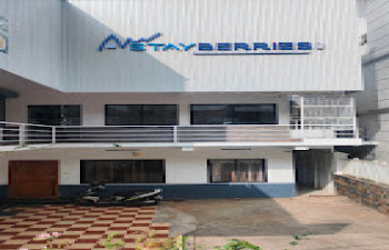 Stayberries Silver Munnar