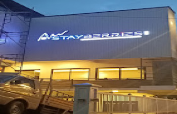 Stayberries Silver Munnar