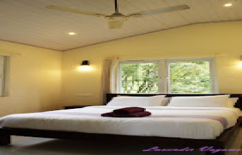 Lavender Vagamon