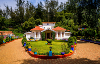 goSTOPS OOTY