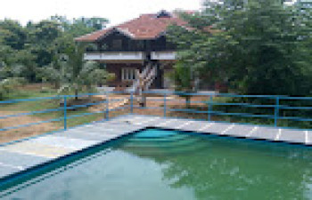 Mango Village