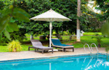 The Mangifera, Bandipur