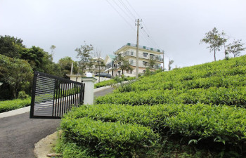 Pine Clough Vagamon