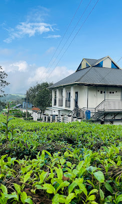 Edayan Meadows