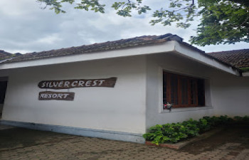 Silver Crest