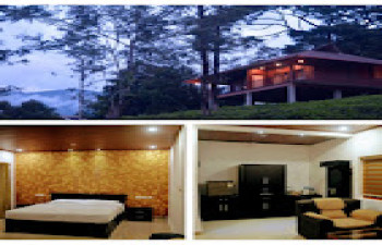 Vythiri Tea Garden Retreat
