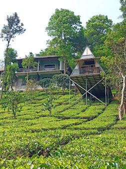 Vythiri Stream View