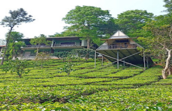 Vythiri Stream View