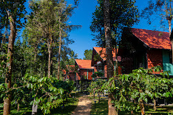 Bay View Suites Vythiri