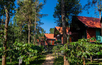 Bay View Suites Vythiri