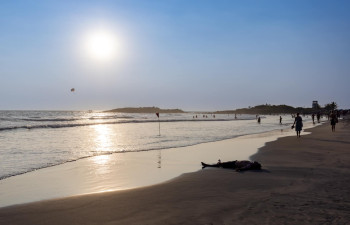 OCEANBAY BEACH RESORT