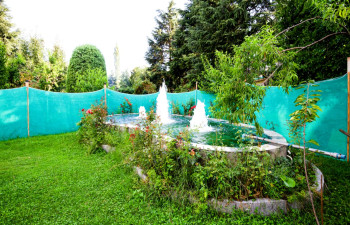 Hotel Paradise ishber