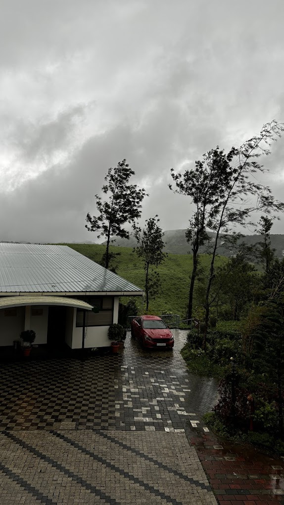 Winter Vale Green Stay