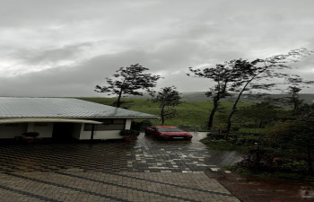 Winter Vale Green Stay