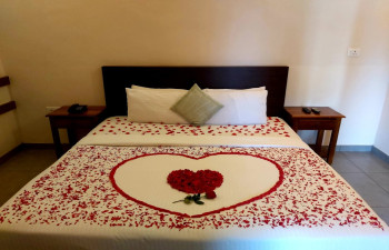 Winter Vale Green Stay