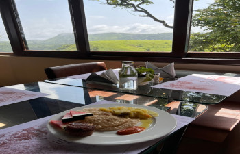 Winter Vale Green Stay