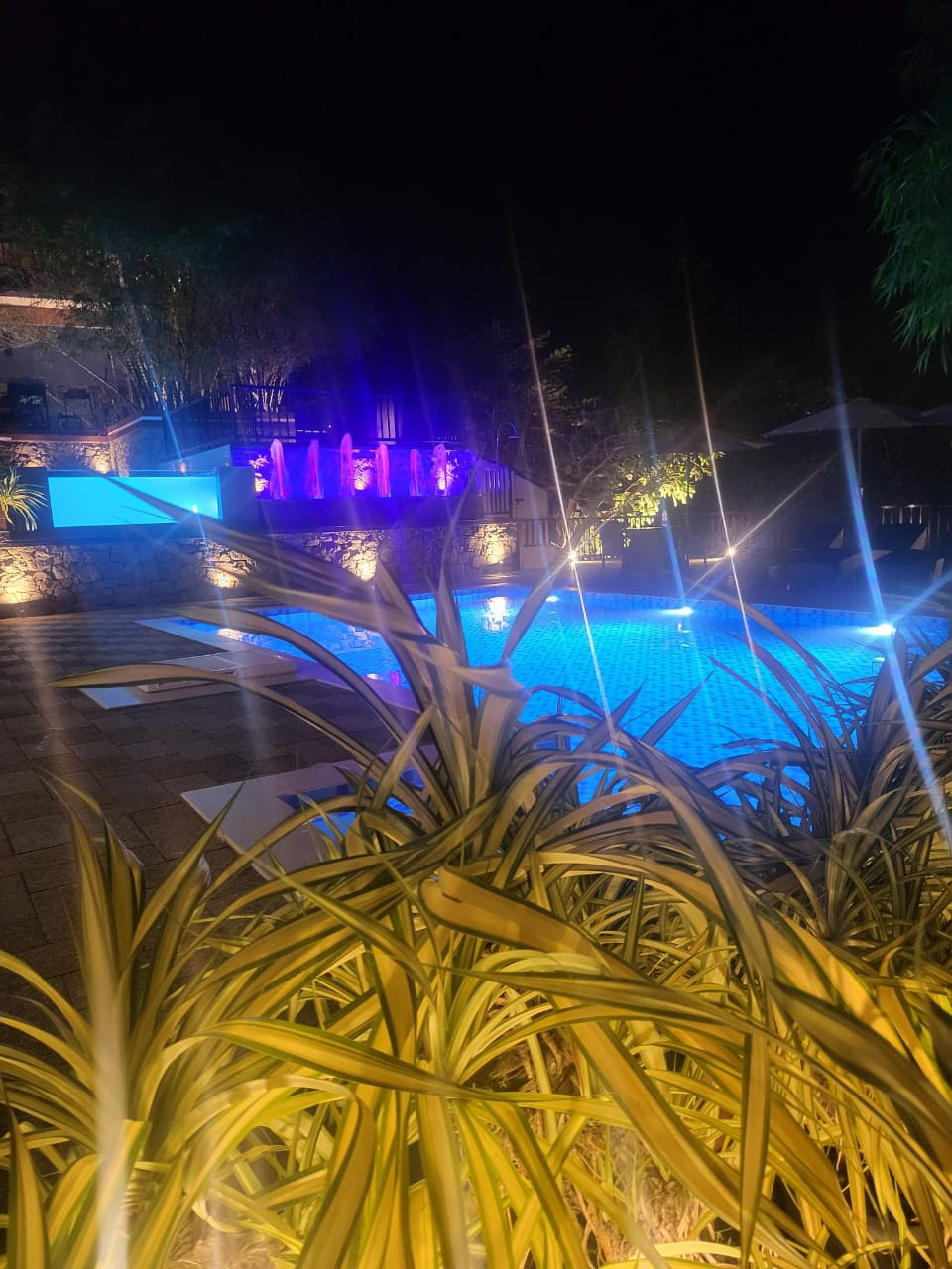 Athirappilly GREEN TREES RESORTS