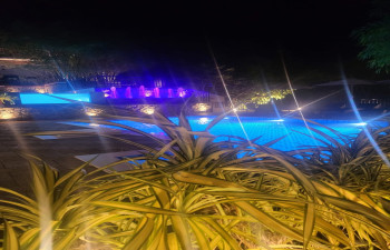 Athirappilly GREEN TREES RESORTS