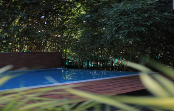 Athirappilly GREEN TREES RESORTS