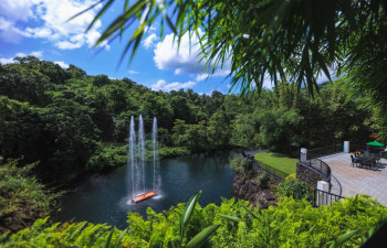 Athirappilly GREEN TREES RESORTS