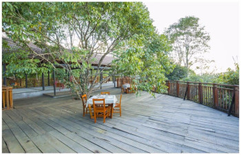 Vythiri Mist Resort