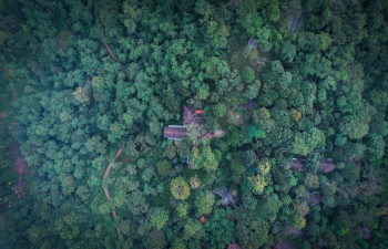 Vythiri Mist Resort