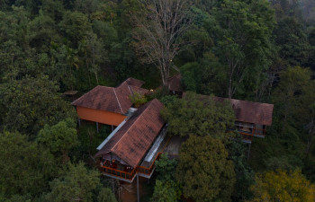 Vythiri Mist Resort
