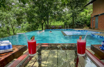 Vythiri Mist Resort