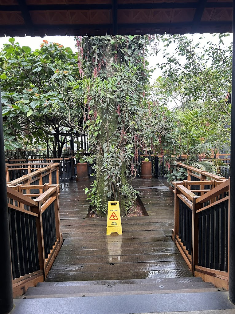 Vythiri Mist Resort