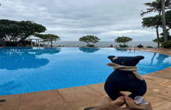 Elixir Cliff Beach Resort and Spa