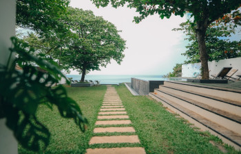 Cliff Stories
