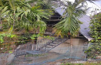 MOUNT RIVER HOMESTAY