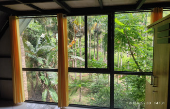 MOUNT RIVER HOMESTAY