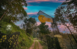 THE TREE ORGANIC FARM AND STAY