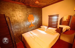 THE TREE ORGANIC FARM AND STAY