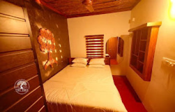 THE TREE ORGANIC FARM AND STAY