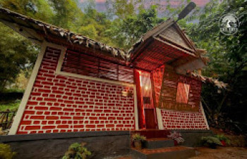 THE TREE ORGANIC FARM AND STAY