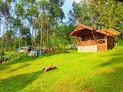 Bamboo Dale Resort
