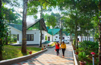 Misty Lake Resorts