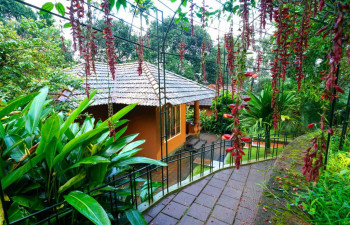Indeevara Retreat- Vythiri, Eco Friendly Luxury Resort