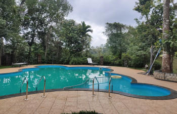 Indeevara Retreat- Vythiri, Eco Friendly Luxury Resort